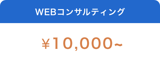 WEBコンサルティング